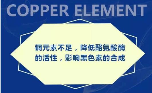 酪氨酸、銅離子相對(duì)缺乏學(xué)說(shuō)
